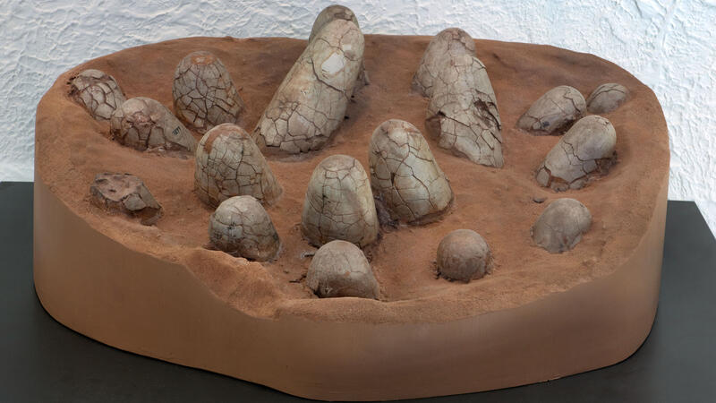 dinosaur eggs in nest