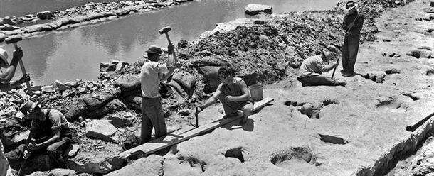 Glen Rose Dinosaur Trackway