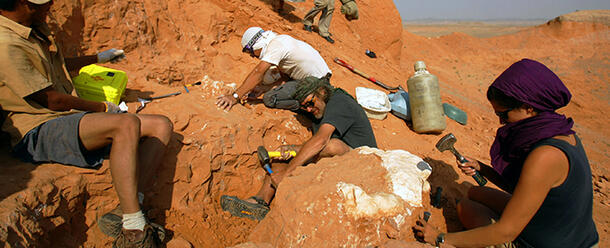Gobi Desert Dinosaur Expedition