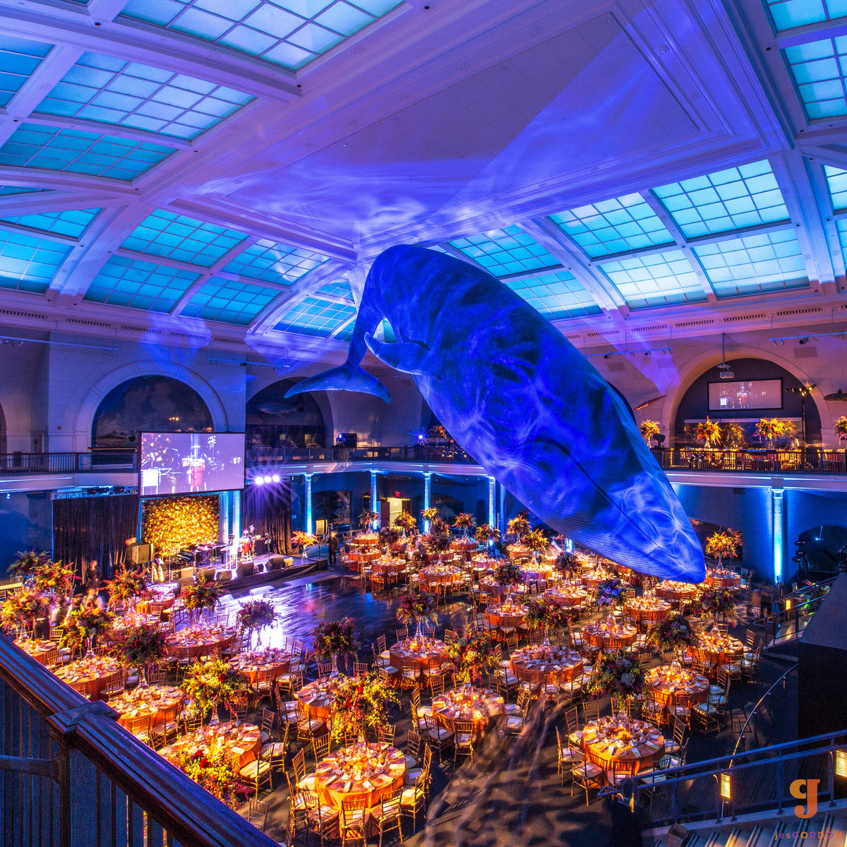 Gala Dinners Private Events at the Museum AMNH