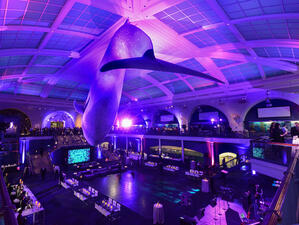 The Milstein Hall of Ocean Life at the American Museum of Natural History with tables and sitting areas added for a cocktail reception.