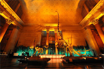 The Theodore Roosevelt Rotunda at the American Museum of Natural History with tables and sitting areas added for a cocktail reception.