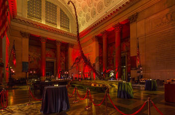 Dramatic lighting, tables and a bar, and resident dinosaur mounts outfit the Theodore Roosevelt Rotunda for a non-profit gala at the Museum.