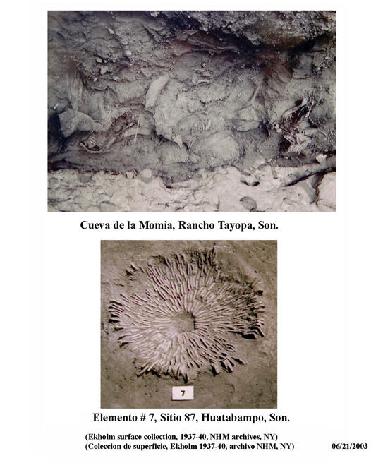 A mummy cave with remains, with the photo caption, "Cueva de la Momia."
