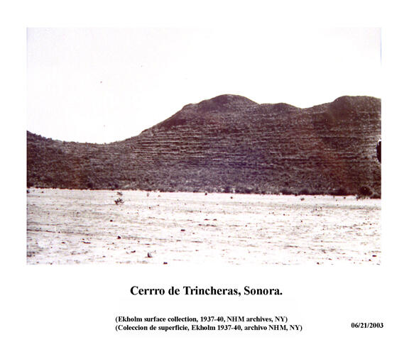 Rising from a flat plain area, a low mountain with terraces cut into its side. The photo caption is: "Cerro de Trincheras, Sonora."