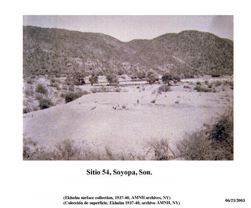 photo of hills in Sonora, Mexico, from Gordon Ekholm's 1937-40 archeological survey