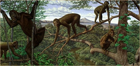 Extinct Primates
