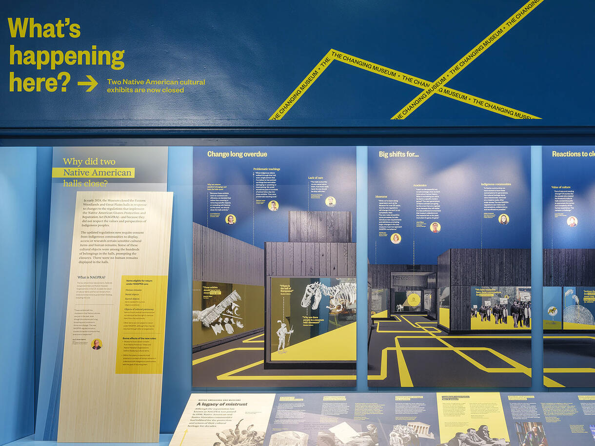 Glass display case houses a diagram that shows the reasoning behind the closure of two Native American cultural exhibits and the plans for the future.