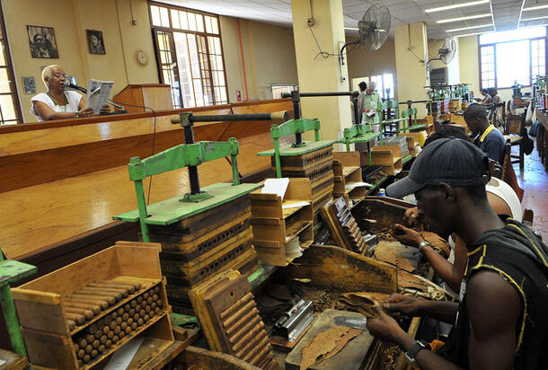 A woman stands at a lectern and reads to rows of seated cigar makers.