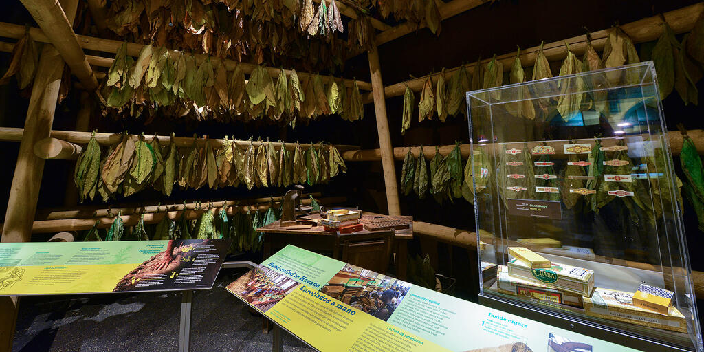 Exhibition: Tobacco in Cuba