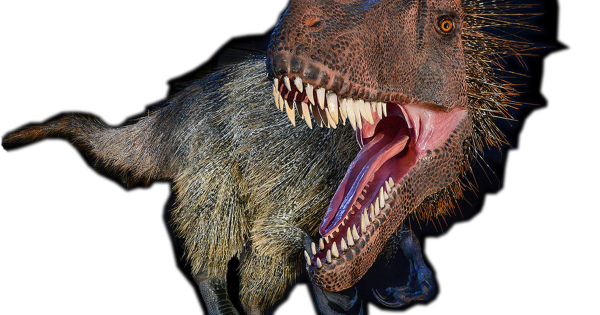 Dinosaurs Among Us The Ancestry Of Birds