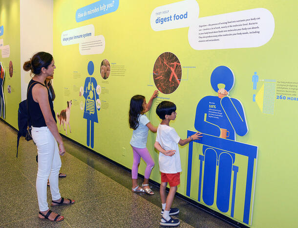 Visitors examine the wall graphics on display for the Inside You exhibition.