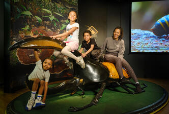 Three children and an adult sit and play on a giant model of a Hercules beetle.