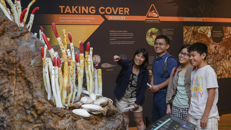 Two adults and two young teens view a display of underwater plant life.