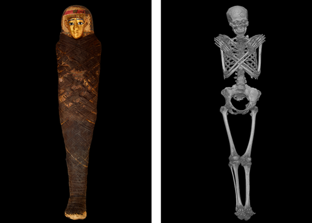 Wrapped mummy on left and the skeleton that is revealed by CT scan on the right.