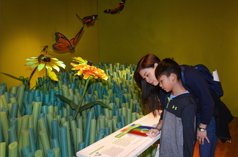 Adult and child read signage in front of a display of larger-than-life grass, flowers, and butterflies.