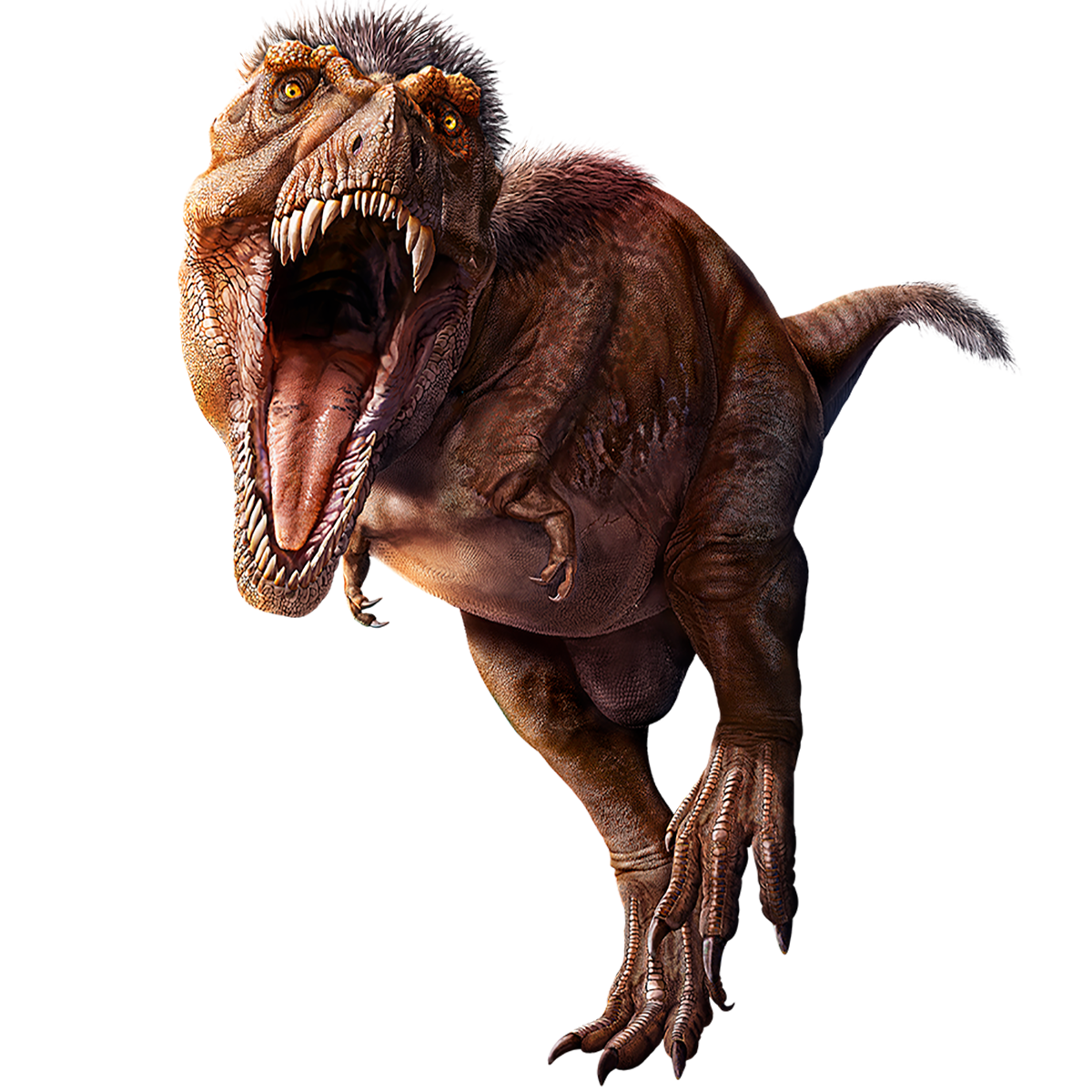 Illustration of T. rex.