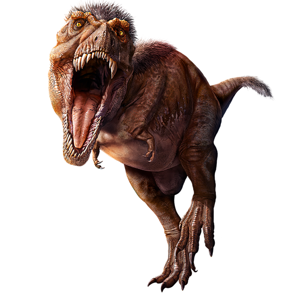 pnso andrea the tyrannosaurus rex