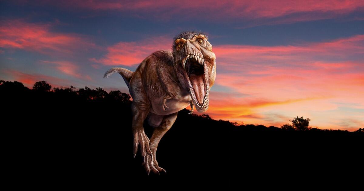 Announcing T Rex The Ultimate Predator Amnh