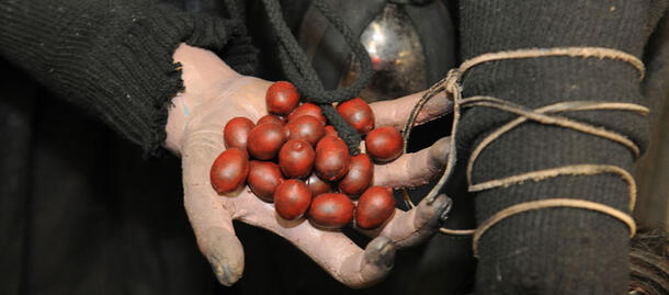 A model of a hand holding large red-colored smooth oval-shaped berries.