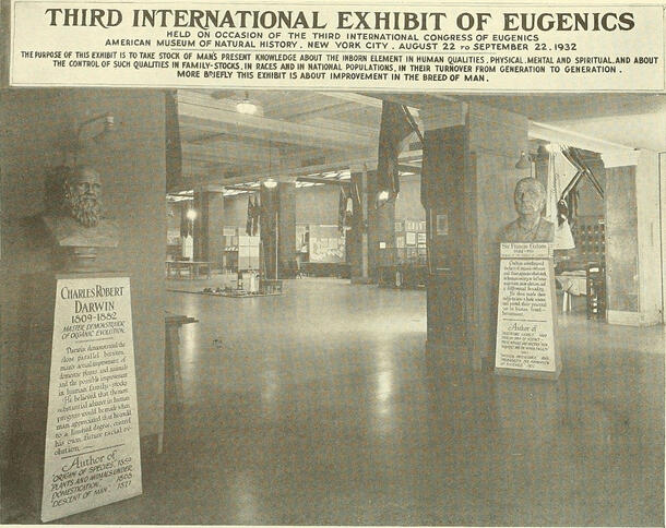 Newspaper clipping with headline "Third International Exhibit of Eugenics" and a photo taken inside the exhibition at the Museum.