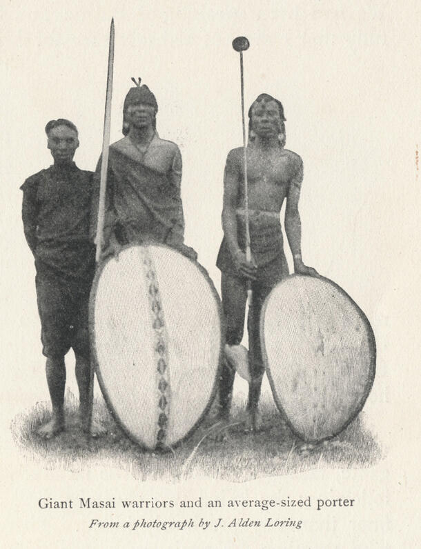 Two Maasai men shown with a porter who worked for the Smithsonian-Roosevelt Expedition