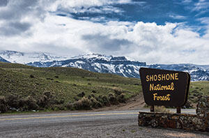 Wooden sign in the foreground reads "Shoshone National Forest", with snowcapped mountains in view behind it.
