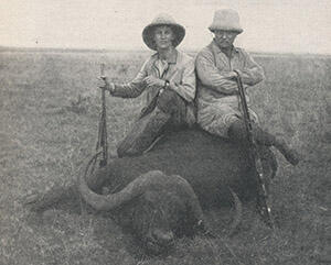 Theodore Roosevelt (right) and his son Kermit (left) are holding rifles, seated on a water buffalo they hunted and killed.