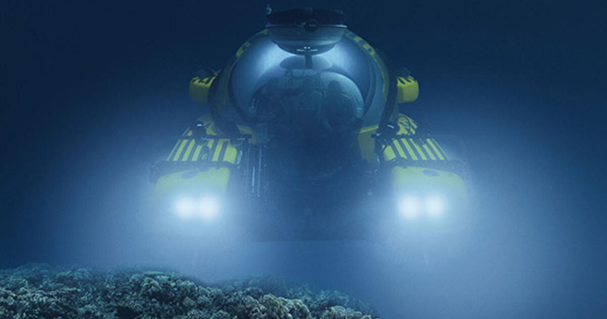 Unseen Oceans Opens At The American Museum Of Natural