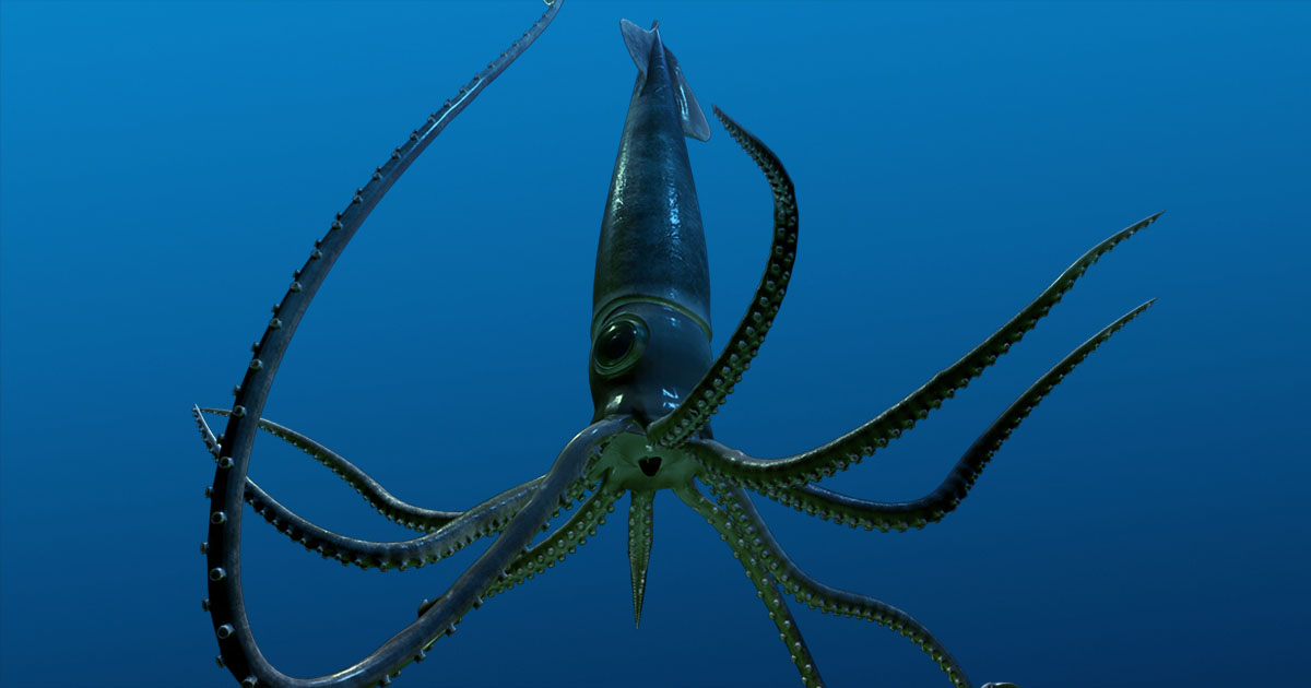 Unseen Oceans Special Exhibition Explores The Deep Amnh