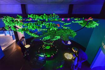 Visitors stand beneath a display of a school of bioluminescent fish models that "swims" overhead.