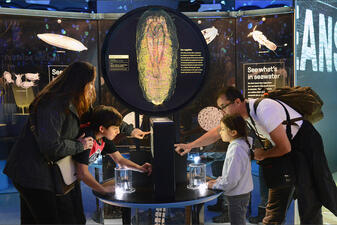 Visitors gather around a table that houses a microscope station.