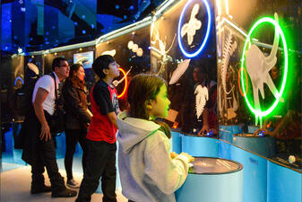 Visitors look look at a glowing wall display of images of plankton and larger marine life.