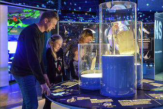 Visitors stand around a floor-to-ceiling array of biofluorescent models.