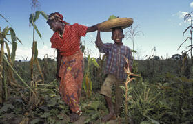 malawi