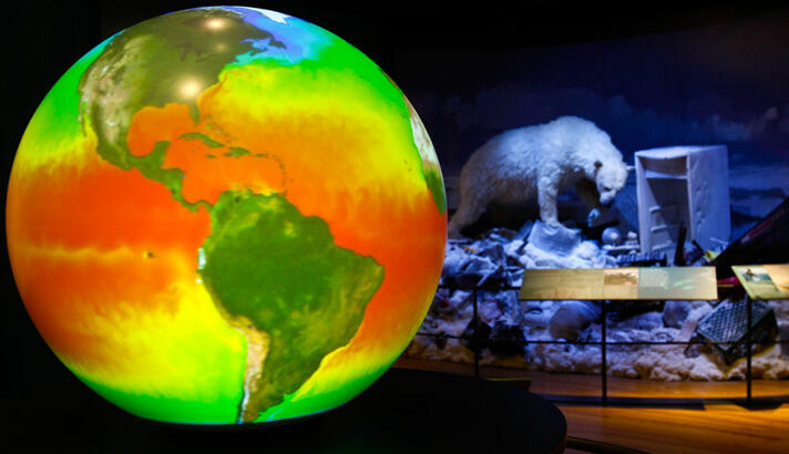 photograph: Climate Change Exhibition (2008–2009): Polar bear in environment display, and model globe with global warming spread indicated with variegated color