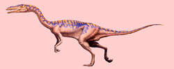 4.6_coelophysis.jpg