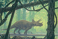 5-2_henderson_triceratops.jpg
