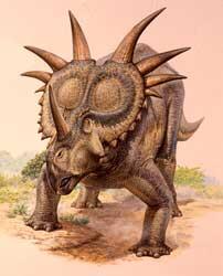 5.4a_5.2c_ceratopsians.jpg