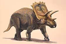 anchiceratops.jpg