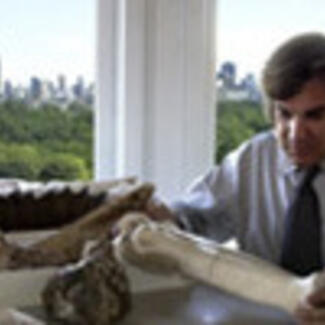 A man seated beside a window studying a large bone on a table.