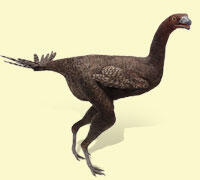 caudipteryx1