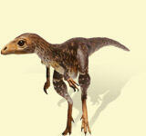 cc_sinosauropteryx4.jpg