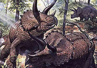 markhallett_triceratops.jpg