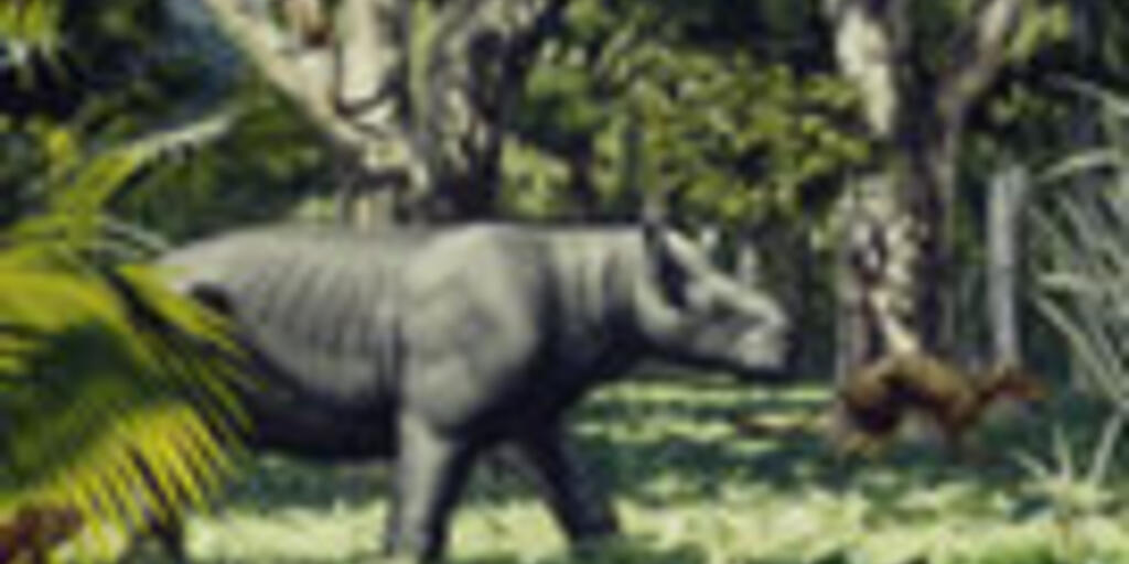 Mass Extinction: What Happened 65 Million Years Ago? | AMNH Mass Extinction: What Happened 65 Million Years Ago? | AMNH