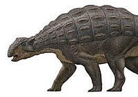 raulmartin_ankylosaur.jpg