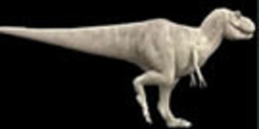 Velociraptor Running From Death : r/Dinosaurs