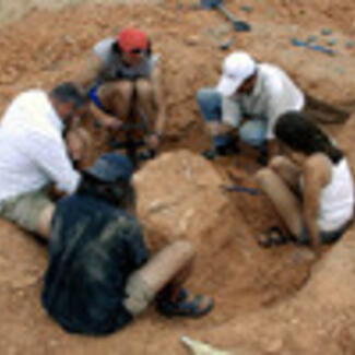 Five people crouched in a circle excavating a small fossil specimen from dry brown earth.