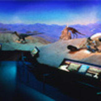 A Museum exhibition hall with a diorama of a hilly barren landscape with models of two small theropod dinosaurs.
