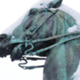 The head area of a horse sculpture showing its verdigris surface and a bridle on the animal.